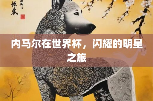 内漯河市盈旭机械设备有限公司马尔在世界杯，闪耀的明星之旅