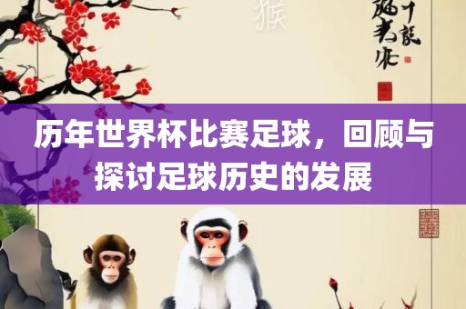 历年世界杯比赛足球，回顾与探讨足球历史的发展