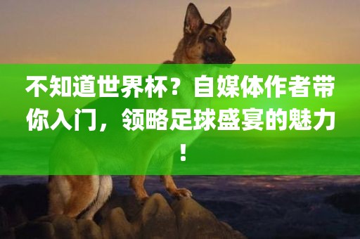 不知道世界杯？自媒体作者带你入门，领略足球盛宴的魅力！漯河市盈旭机械设备有限公司