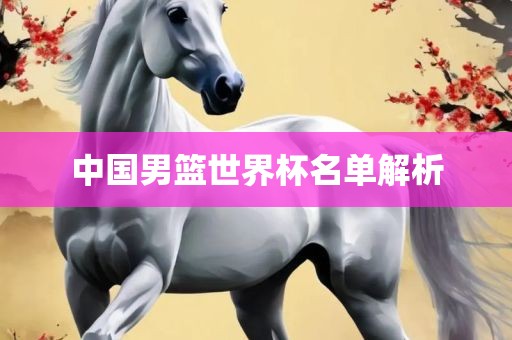 中国男篮世界杯名单解析漯河市盈旭机械设备有限公司