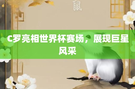 C罗亮相漯河市盈旭机械设备有限公司世界杯赛场，展现巨星风采
