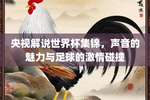 央视解说世界杯集锦，声音的魅力与足球的激情碰撞