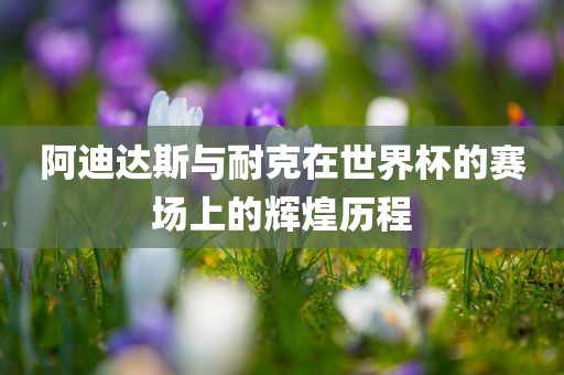 阿迪达斯与耐克在世界杯的赛场上的辉煌历程漯河市盈旭机械设备有限公司