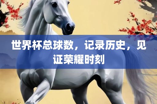 世界杯总球数，记录历史，见证荣耀时刻