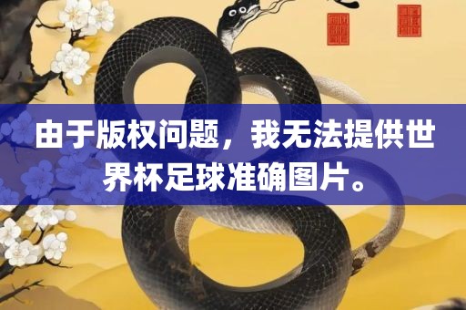 由于版权问题，我无法提供世界杯足球准确图片。