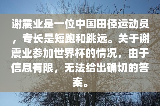 谢震业是一位中国田径运动员，专长是短跑和跳远。关于谢震业参加世界杯的情况，由于信息有限，无法给出确切的答案。漯河市盈旭机械设备有限公司