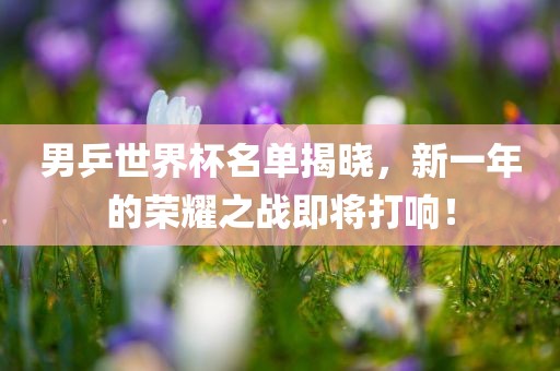 男乒世界杯名单揭晓，新一年的荣耀之战即将打响！漯河市盈旭机械设备有限公司