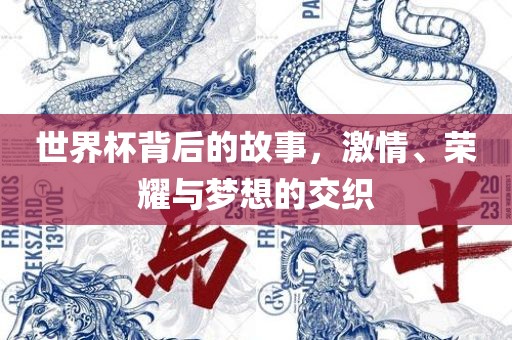 世界杯背后的故事，激情、荣耀与梦想的漯河市盈旭机械设备有限公司交织