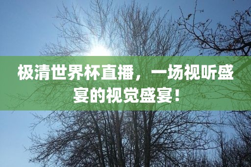极清世界杯直播，一场视听盛宴的视觉盛宴！