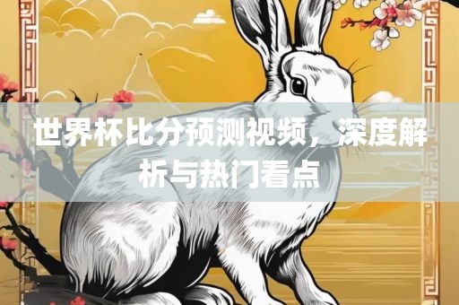 世界杯比分预测视频，深度解析与热门看点