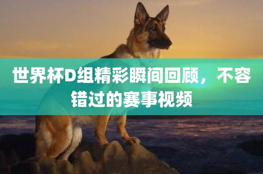 世界杯D组精彩瞬间回顾，不容错过的赛事视频