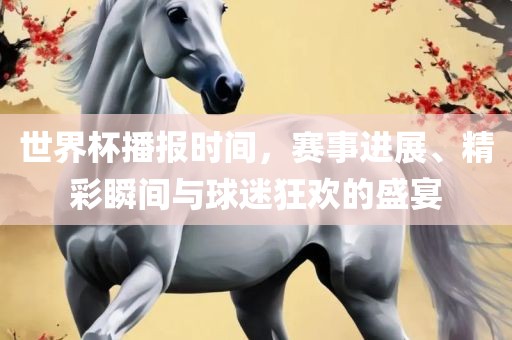 世界杯播报时间，赛事进展、精彩瞬间与球迷狂欢的盛宴