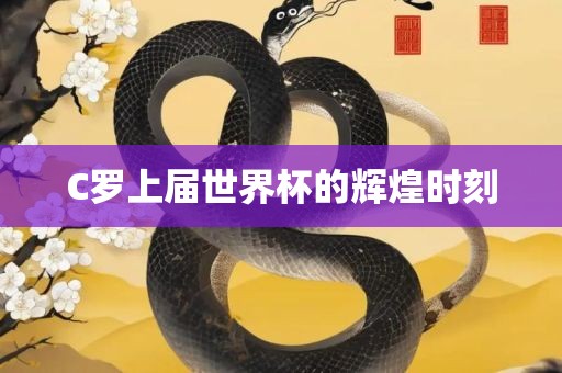 C罗上届世界杯的辉煌时刻漯河市盈旭机械设备有限公司
