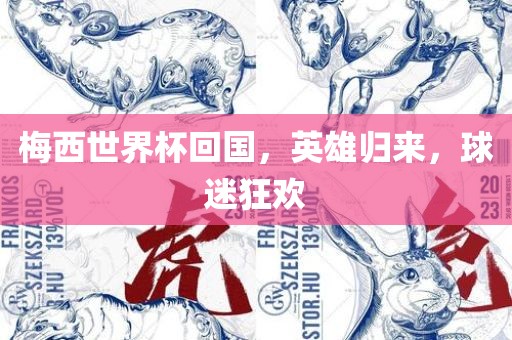 梅西世界杯回国，英雄归来，球迷狂欢