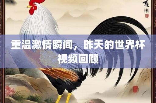 重温激情瞬间，昨天的世界杯视频回顾