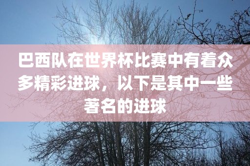 巴西队在世界杯比赛中有着众多精彩进球，以下是其中一些著名的进球
