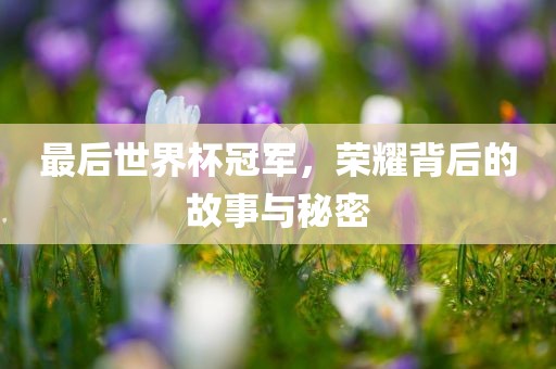 最后世界杯冠军，荣耀背后的故事与秘密