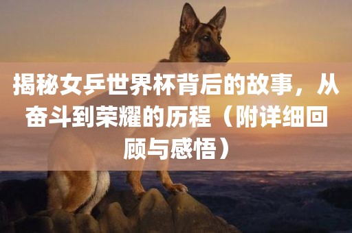 揭秘女乒世界杯背后的故事，从奋斗到荣耀的历程（附详细回顾与感悟）