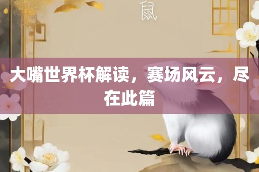 大嘴世界杯解读，赛场风云，尽在此篇