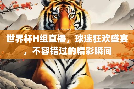 世界杯H组直播，球迷狂欢盛宴，不容错过的精彩瞬间