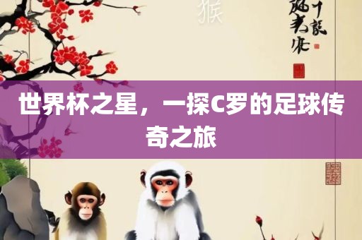 世界杯之星，一探C罗的足球传奇之旅