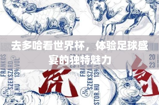 去多哈看世界杯，体验足球盛宴的独特魅力漯河市盈旭机械设备有限公司