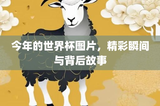 今年的世界杯图片，精彩瞬间与背后故事