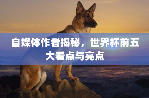 自媒体作者揭秘，世界杯前五大看点与亮点