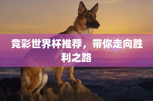 竞彩世界杯推荐，带你走向胜利之路
