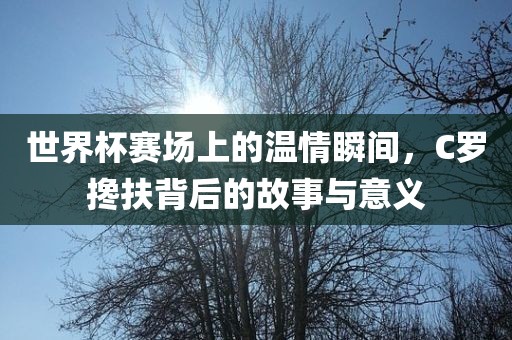 zhaoyajun 第4页
