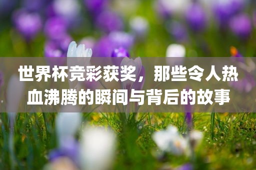 世界杯竞彩获奖，那些令人热血沸腾的瞬间与背后的故事
