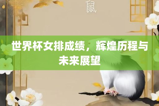 世界杯女排成绩，辉煌历程与未来展望