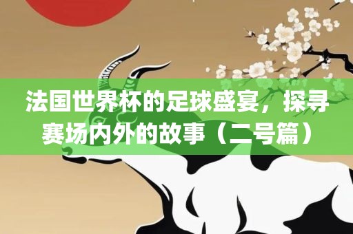 法国世界杯的足球盛宴，探寻赛场内外的故事（二号篇）