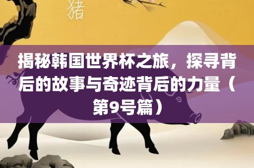 揭秘韩国世界杯之旅，探寻背后的故事与奇迹背后的力量（第9号篇）