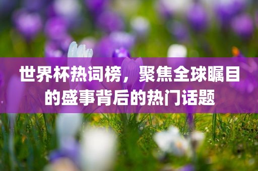 世界杯热词榜，聚焦全球瞩目的盛事背后的热门话题