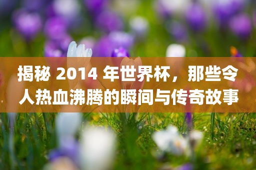 揭秘 2014 年世界杯，那些令人热血沸腾的瞬间与传奇故事
