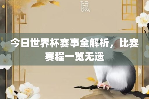 今日世界杯赛事全解析，比赛赛程一览无遗
