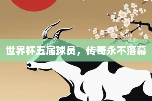 世界杯五届球员，传奇永不落幕漯河市盈旭机械设备有限公司