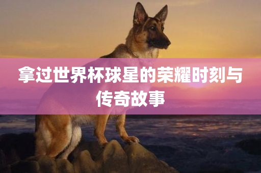 拿过世界杯球星的荣耀时刻与传奇故事