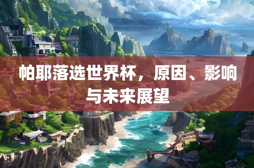 帕耶落选世界杯，原因、影响与未来展望