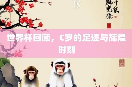 世界杯回顾，C罗的足迹与辉煌时刻
