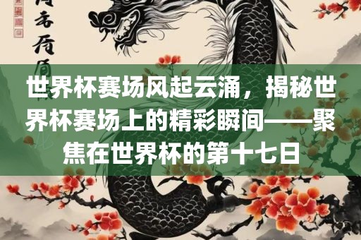 世界杯赛场风起云涌，揭秘世界杯赛场上的精彩瞬间——聚焦在世界杯的第十七日
