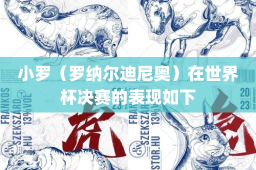 小罗（罗纳尔迪尼奥）在世界杯决赛的表现如下