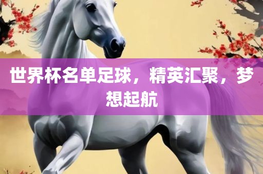 世界杯名单足球，精英汇聚，梦想起航