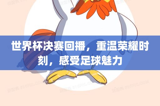 世界杯决赛回播，重温荣耀时刻，感受足球魅力
