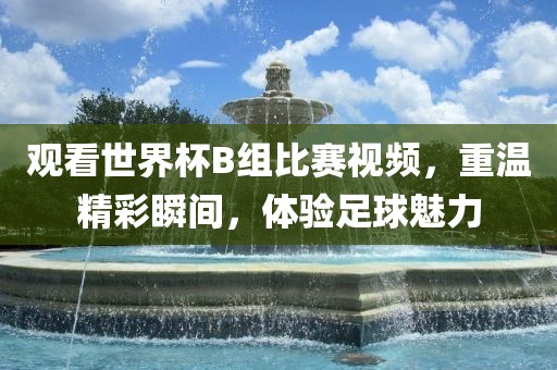 观看世界杯B组比赛视频，重温精彩瞬间，体验足球魅力