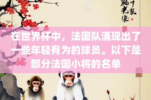 在世界杯中，法国队涌现出了一些年轻有为的球员。以下是部分法国小将的名单漯河市盈旭机械设备有限公司