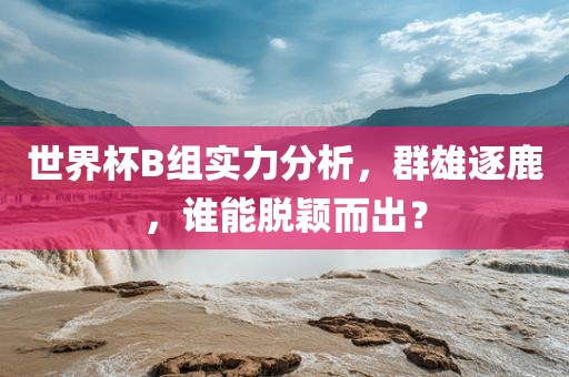 世界杯B组实力分析，群雄逐鹿，谁能脱颖而出？