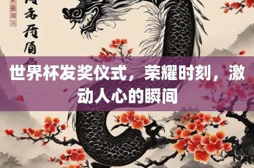 世界杯发奖仪式，荣耀时刻，激动人心的瞬间