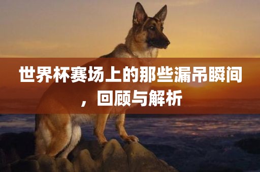 世界杯赛场上的那些漏吊瞬间，回顾与解析漯河市盈旭机械设备有限公司